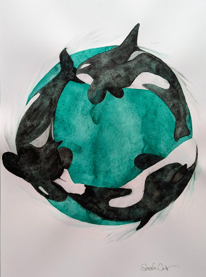 Three orcas swimming in around a turquoise circle together. Watercolor.