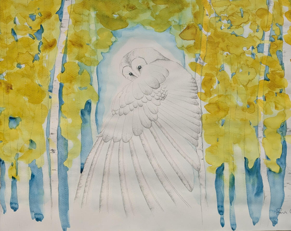Delicately inked barn owl with wing stretched out in front of its face. Ink and watercolor aspen forest surrounds.