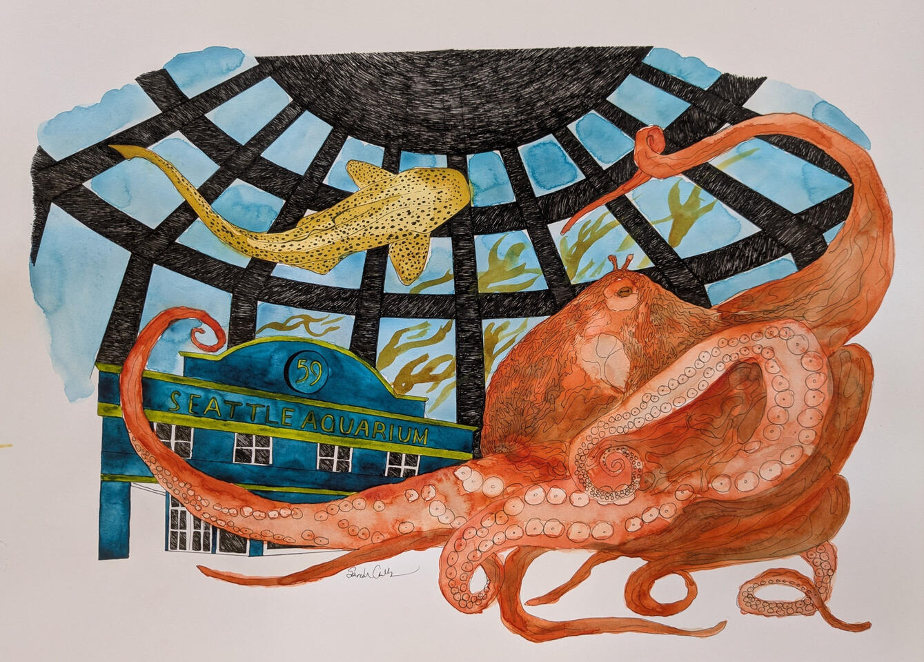 Seattle Aquarium as viewed from both the front entrance and the underwater dome, in ink and watercolor. Superimposed with a giant Pacific octopus and an Indo-Pacific leopard shark.
